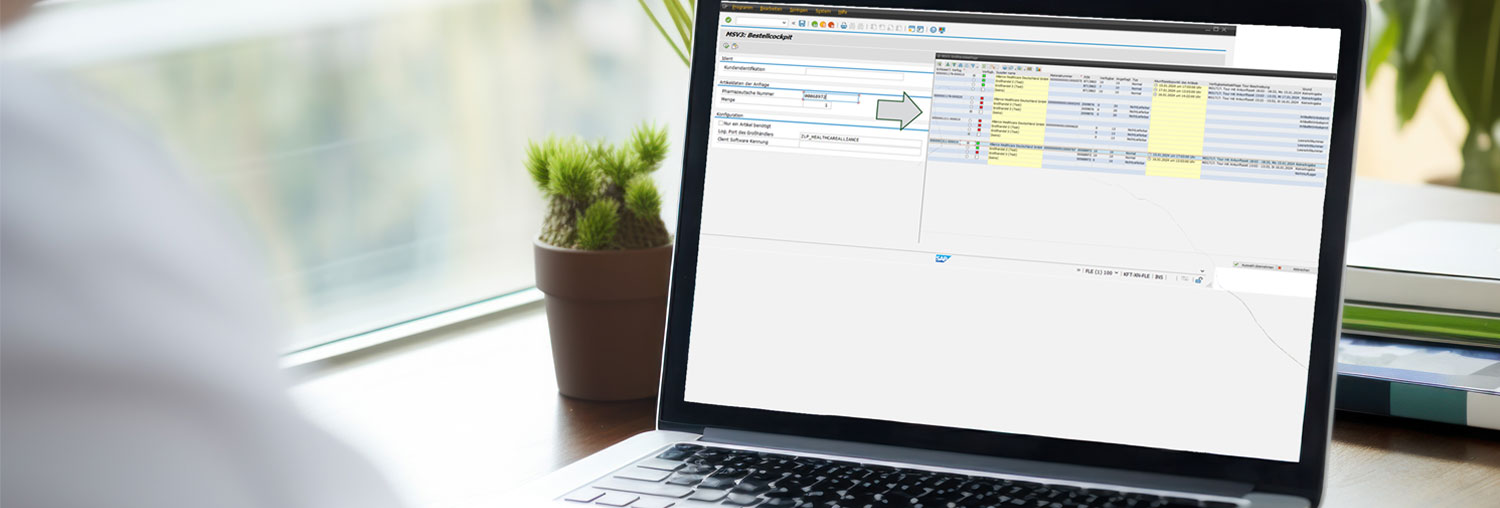 SAP MSV3-Schnittstelle